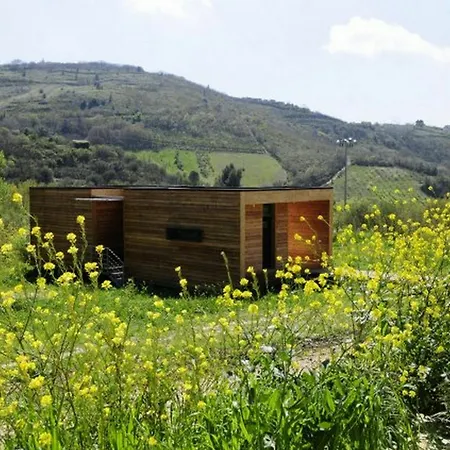 Il Bevaio Di Farm stay